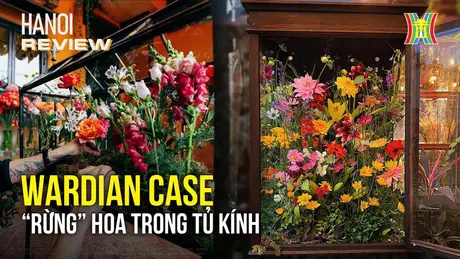 Wardian Case – vẻ đẹp 'rừng' hoa trong tủ kính | HANOI Review | 29/12/2024