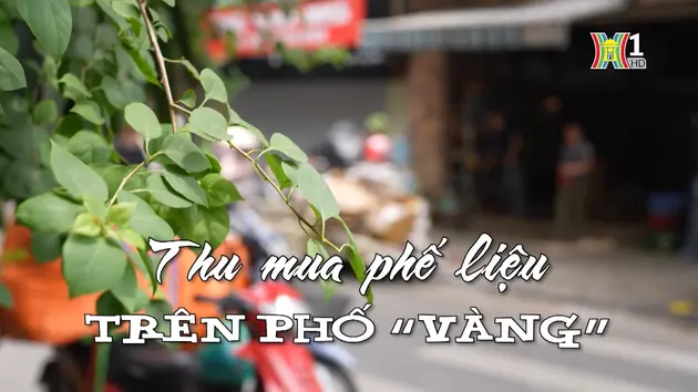 Thu mua phế liệu trên phố 'vàng' | Nhịp sống Hà Nội | 30/05/2024