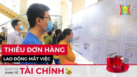 Vn-Index đứt mạch tăng điểm