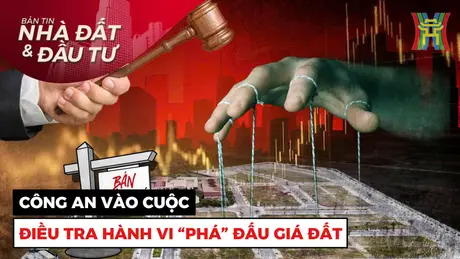 Bản tin Nhà đất và đầu tư | 30/11/2024