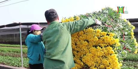 Không gian sáng tạo Văn Miếu - Quốc Tử Giám