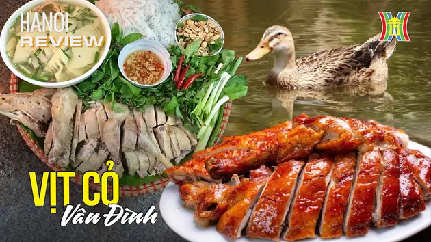 Vịt cỏ Vân Đình - Nét ẩm thực dân dã của người Hà thành | HANOI Review | 30/12/2024