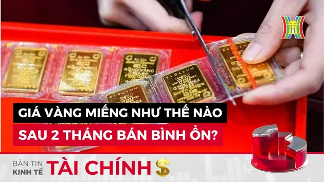 Bản tin Kinh tế Tài chính | 31/07/2024