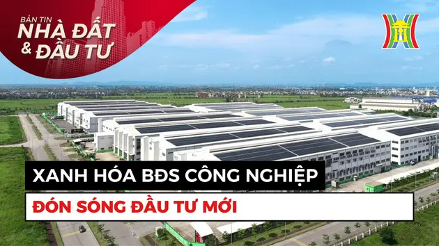 Bản tin Nhà đất và đầu tư | 31/07/2024