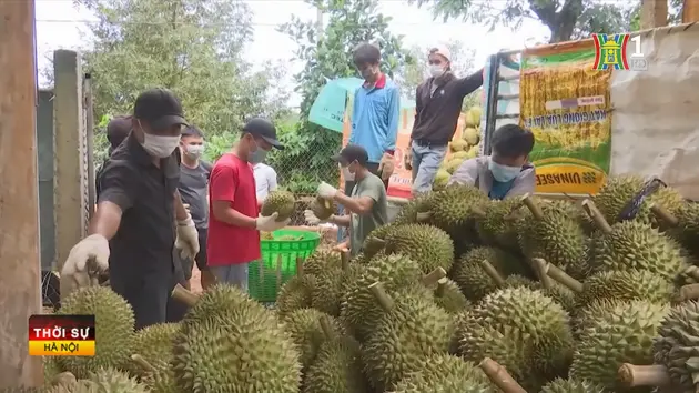 Đài Hà Nội