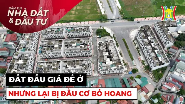 Bản tin Nhà đất và đầu tư | 3/08/2024