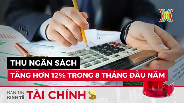 Bản tin Kinh tế Tài chính | 31/08/2024