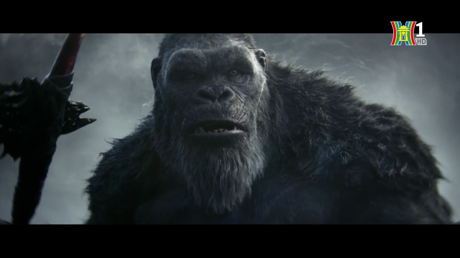 Vì ai cũng cần desktop ấn tượng, mời anh em tải bộ hình nền Godzilla đại  chiến Kong cực ngầu - GVN360