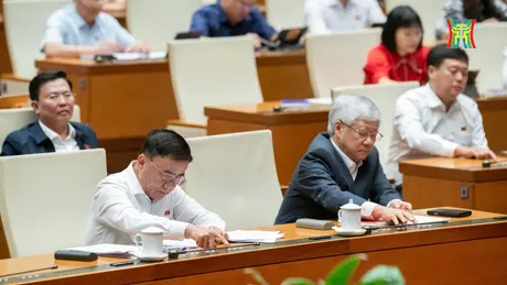 100% đại biểu tán thành sửa đổi Hiến pháp 2013