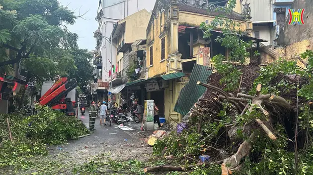 Hà Nội mưa lớn, cây gãy đổ khiến 1 người tử vong