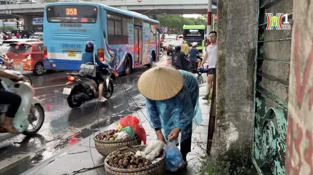 Đài Hà Nội