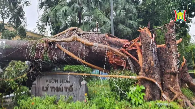 Đài Hà Nội