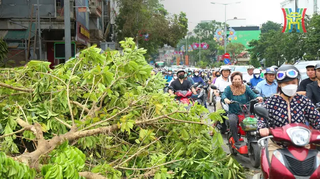 Đài Hà Nội