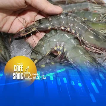 Mức thuế 'siêu thực' với tôm Việt Nam
