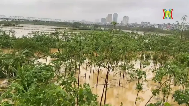 Đài Hà Nội