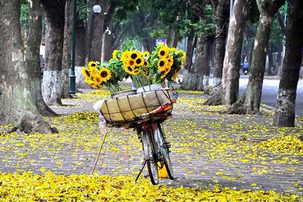 Cuối năm các hãng xe ô tô đua nhau khuyến mãi lớn
