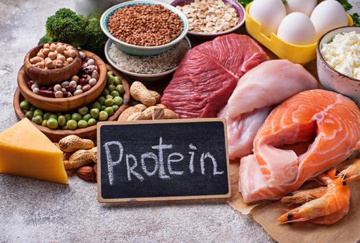 Những thực phẩm giàu protein có lợi cho sức khỏe