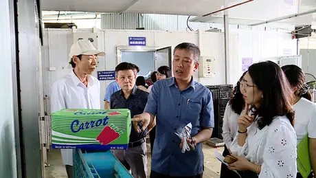 564 cơ sở bị xử phạt vi phạm hành chính về ATTP