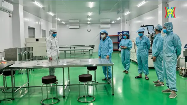 Vi phạm tại Công ty TNHH dược phẩm công nghệ cao Nanotesla
