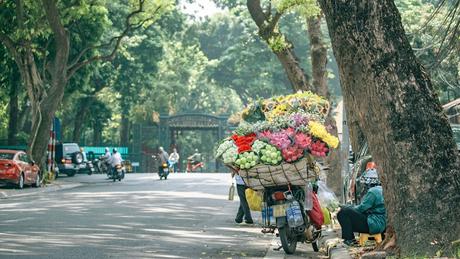 Đài Hà Nội