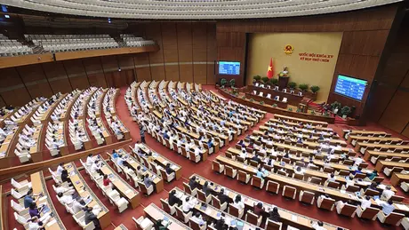 Thông qua luật mới, siết trái phiếu và quản lý doanh nghiệp