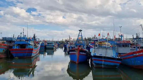 Biển động mạnh tại Lý Sơn, Quảng Ngãi cấm tàu ra biển