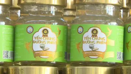 Chuyển công an điều tra vụ hơn 23.000 lọ yến chưng giả