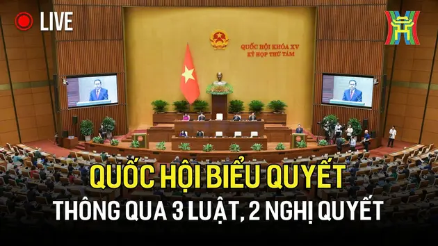 Quốc hội biểu quyết thông qua 3 luật, 2 nghị quyết