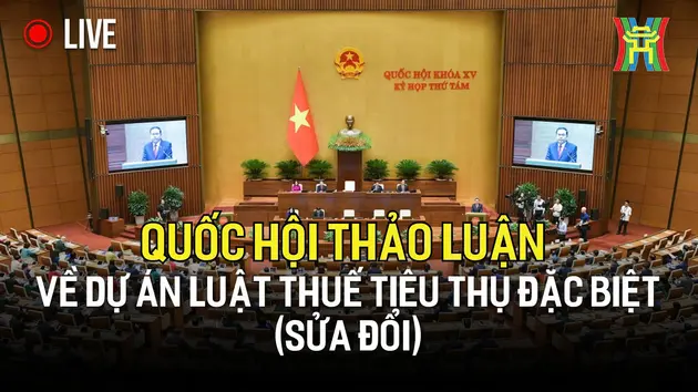 Quốc hội thảo luận về dự án Luật Thuế tiêu thụ đặc biệt (sửa đổi)