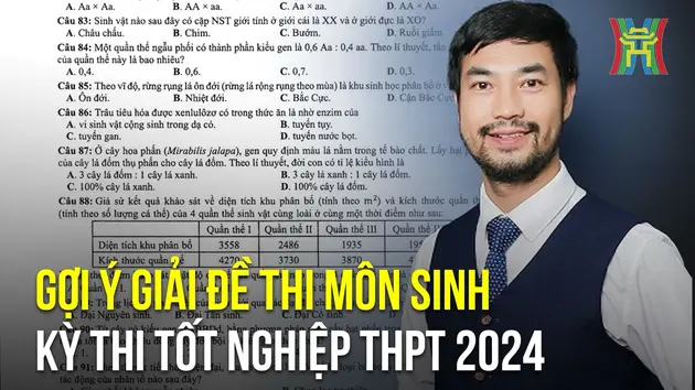 Đài Hà Nội