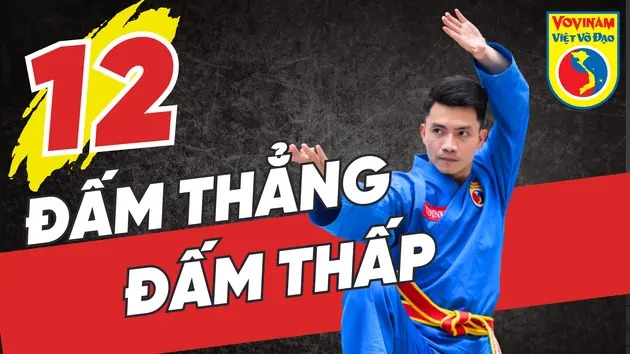 Học võ Vovinam - Tập 12: Đấm thẳng, Đấm thấp
