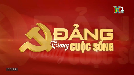 Hoa ban khoe sắc giữa lòng Hà Nội