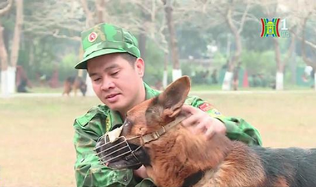 Đài Hà Nội