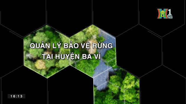 Quản lý bảo vệ rừng tại huyện Ba Vì | Tạp chí Kiểm lâm | 09/07/2023