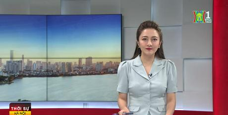 Uỷ quyền giao kết hợp đồng lao động | Sống và làm việc theo pháp luật | 26/08/2023 