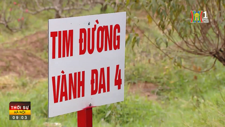 Triển khai bảo hộ công dân Việt Nam tại Israel