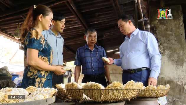 Nông dân Đan Phượng đẩy mạnh phát triển các sản phẩm OCOP | Thực phẩm an toàn | 27/08/2023