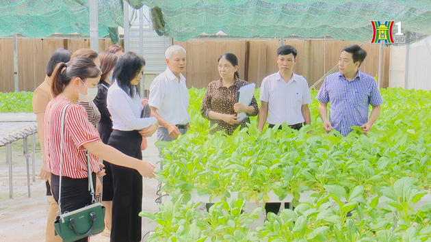 Quản lý chất lượng vùng sản xuất rau an toàn | Quản lý chất lượng nông lâm thủy sản | 20/10/2023