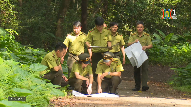 Quy chế phối hợp vùng giáp ranh| Tạp chí Kiểm lâm| 15/10/2023