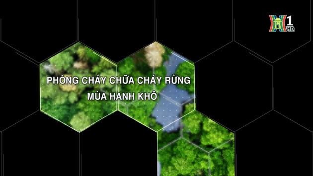 Phòng chống cháy rừng mùa hanh khô| Tạp chí kiểm lâm| 12/11/2023