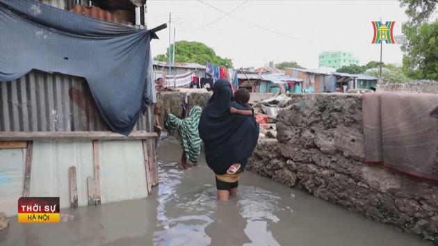 Lũ lụt do mưa lớn làm gần 100 người Somalia thiệt mạng