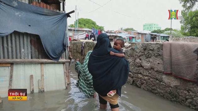 Dịch tả lây lan do mưa lũ tại Somalia