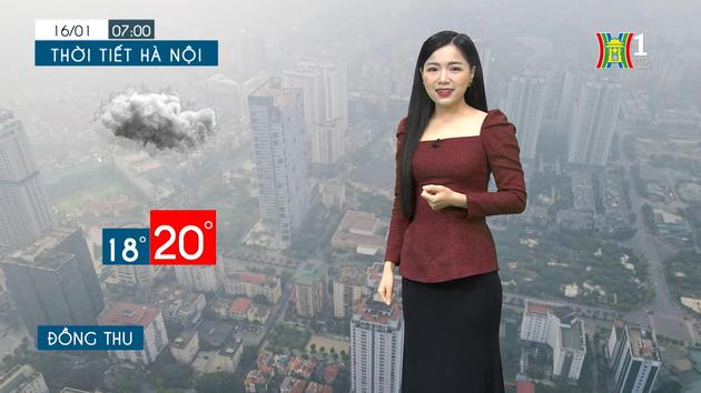 100% xã, phường TP.HCM sẽ lập danh sách hộ nuôi chó, mèo 


