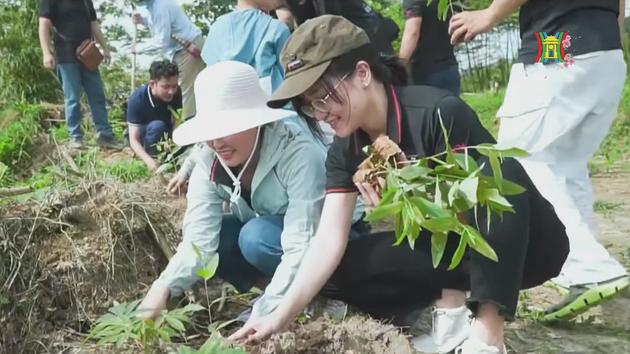 Phát hiện đối tượng mang súng hơi đi dạo phố 