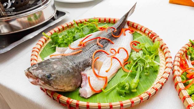 Cá lóc - món ăn vị thuốc giúp bồi bổ cơ thể