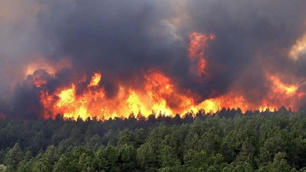 Đã khống chế được các điểm cháy rừng tại Sapa 