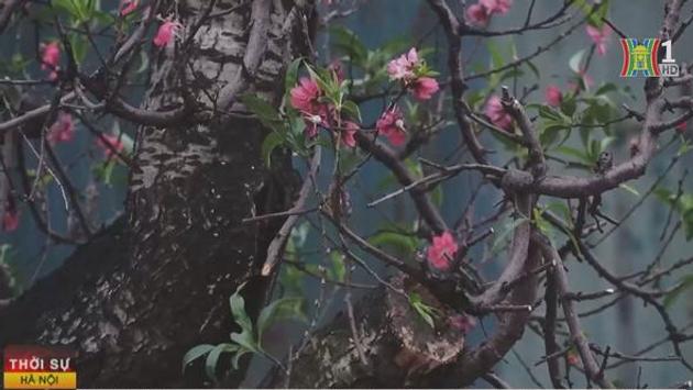 Sống ảo, đừng chờ thần chết đến
