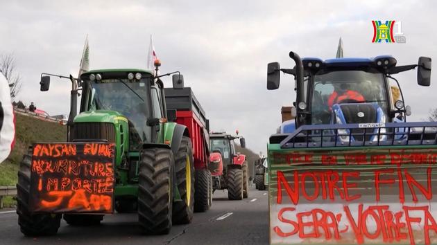 Nông dân tại nhiều quốc gia biểu tình quy mô lớn