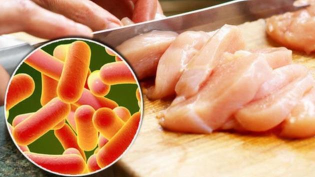 Các vi khuẩn dễ gây ngộ độc thực phẩm 