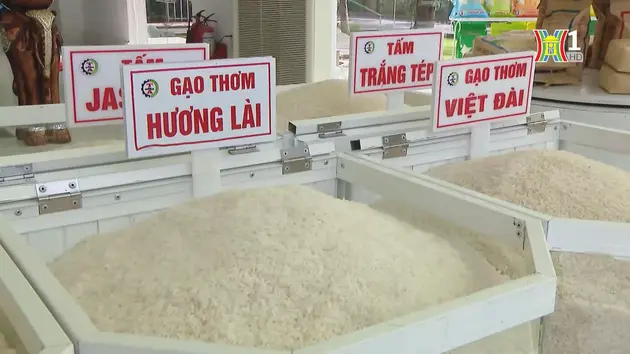 Xuất khẩu gạo quý I của Việt Nam đạt 1,4 tỷ USD